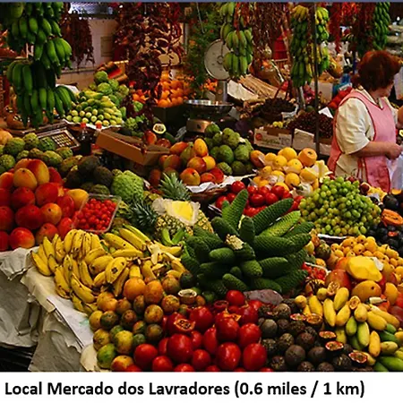 Netos Terrace Apartamento